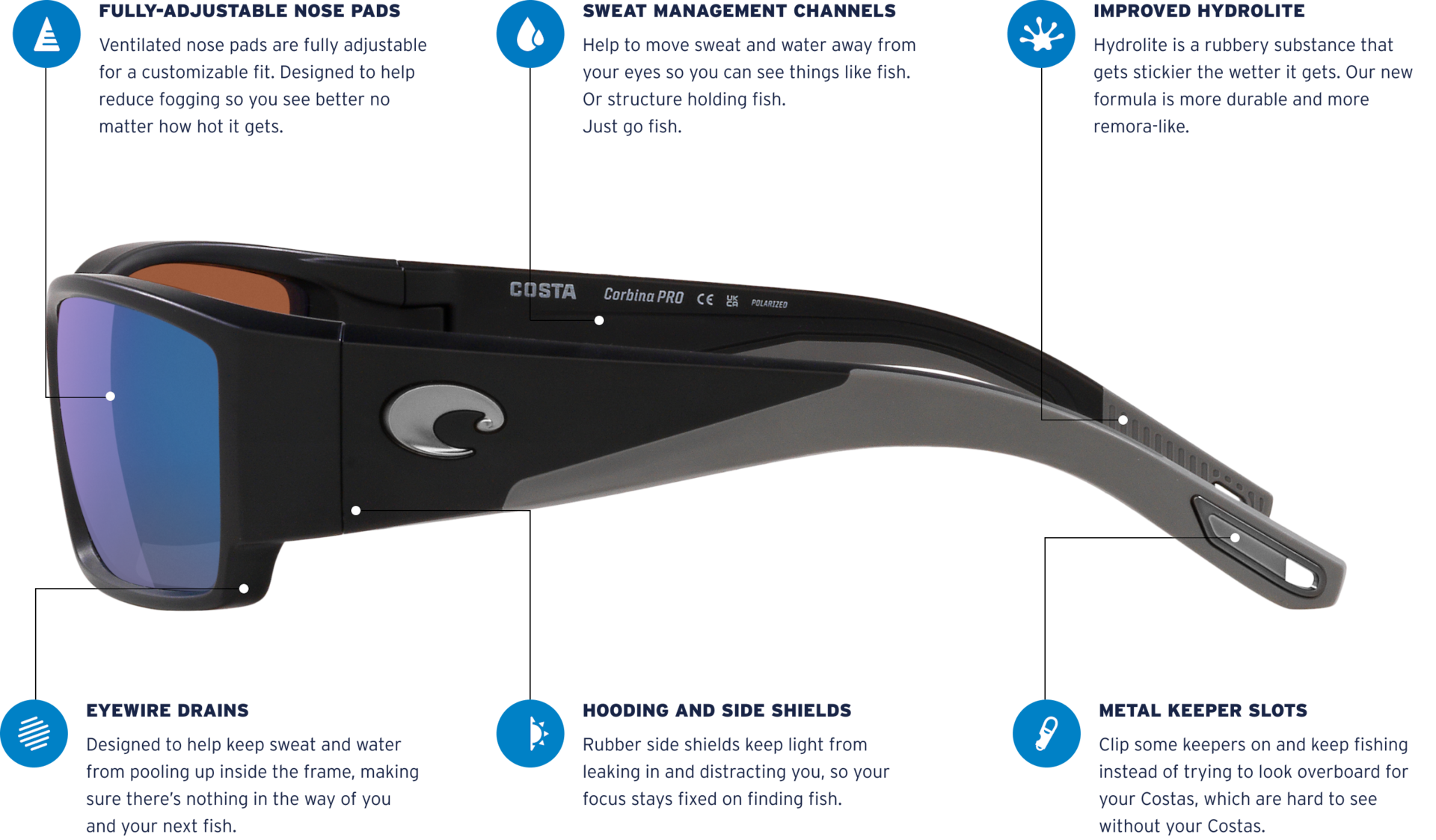 Corbina Pro Infographic