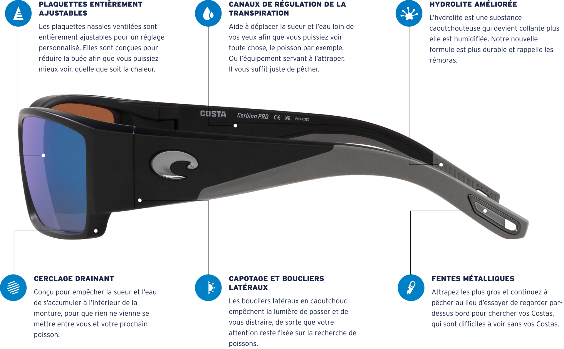 Corbina Pro Infographic