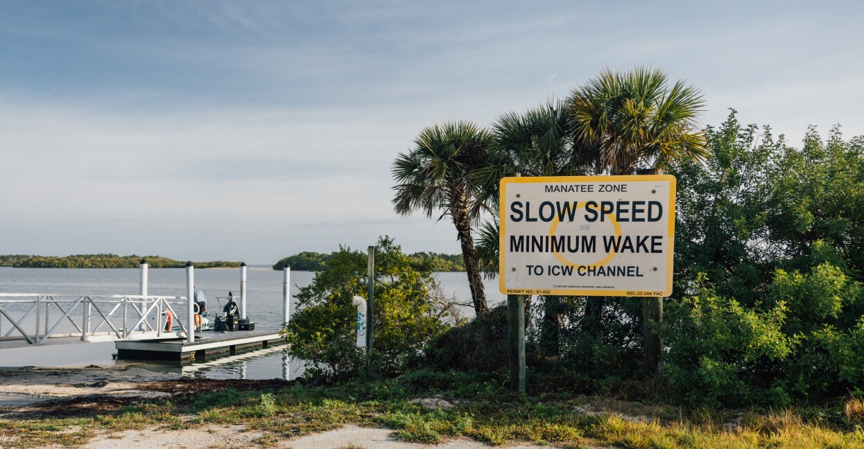 CDM_Legend_Remastered05_D