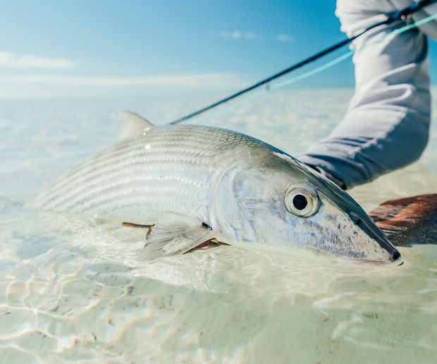 Costa Films - Hooked On: Bonefish