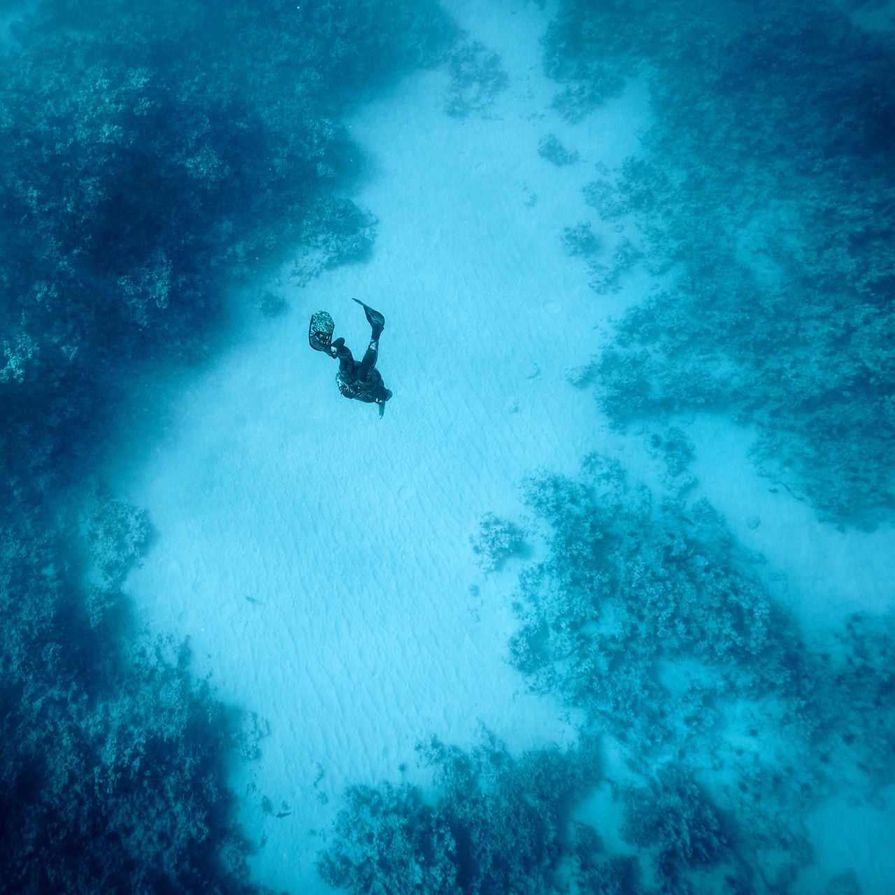 As a young girl, Kimi would follow her dad into the underwater world as he spearfished to feed their family.-Those experiences became some of her deepest memories of connection and belonging. That tradition has come full circle as she now prepares fish for her own son’s lunches and shares with him the same wonder she felt as a child exploring Hawaii’s waters alongside her father.