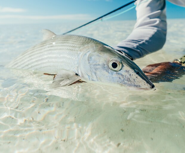 Costa Films - Hooked On: Bonefish