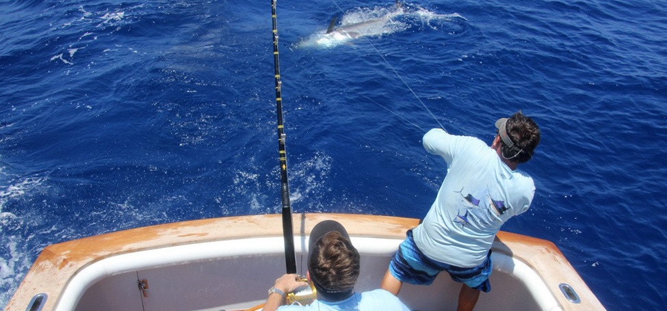 Ray Rosher jala al atún gigante cuando intenta voltearse.
