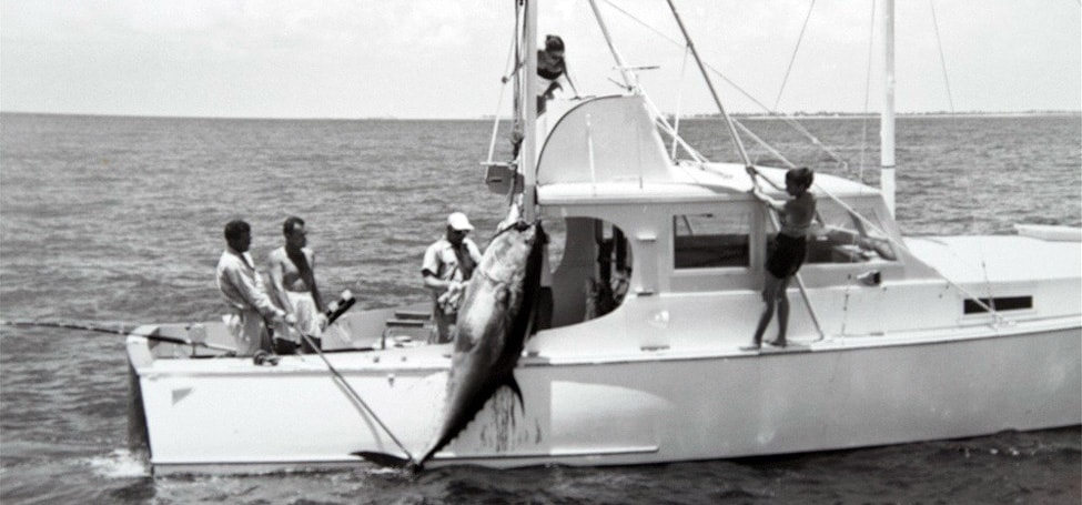 Un equipo iza un atún en uno de los primeros torneos de atún en Cayos Cat.