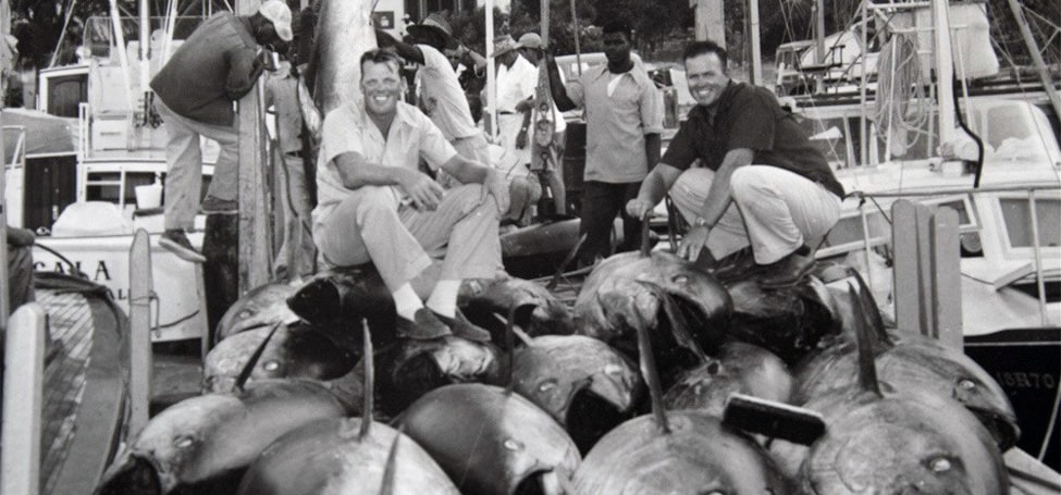 Solían apilar los peces en el muelle como leños y su número parecía infinito.