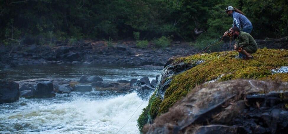 Sometime it helps to get a birds eye view. Jay and Thad perch above the falls searching for any signs of fish.
