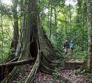 Protect Guyana - Fly Fishing Conservation