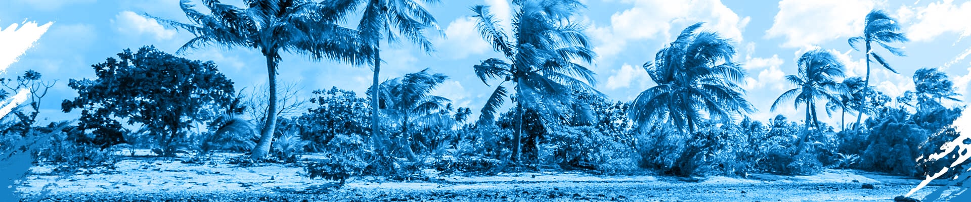 OneCoast