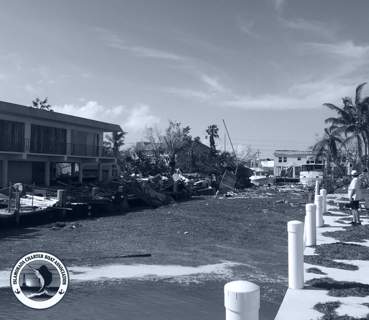 Featured #OneCoast Stories Day 11