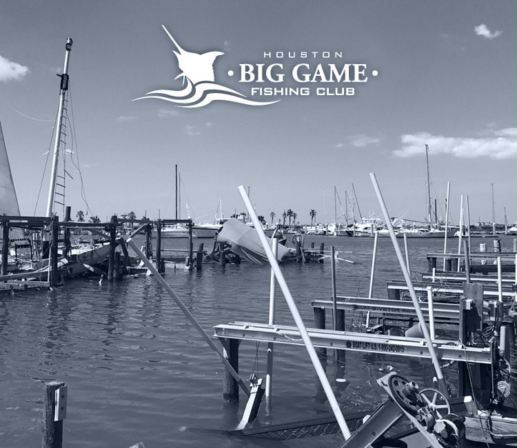 Featured #OneCoast Stories Day 3