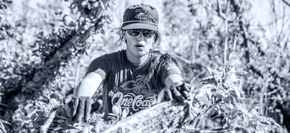 Featured #OneCoast Stories Day 9