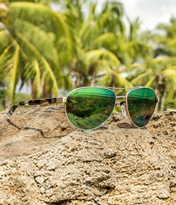 ataque miércoles Restricción Gafas de sol polarizadas de estilo de vida de playa Costa