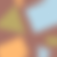 Cielo Ocean Tortoise