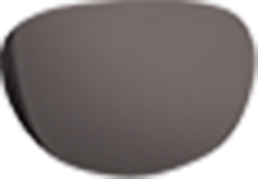Gray Lens